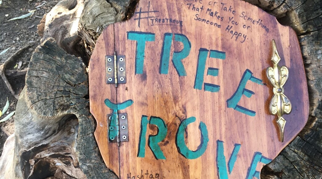 A local artist created this installation in a tree stump inspired by a production of “To Kill a Mockingbird “ @ Stratford Festival of Canada. Put in a treasure or take one. #TroveOnTuesday #Mockingbird #StratfordFestival