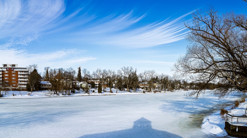 A frozen lake with buildings and trees in the background.