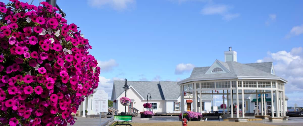 Bathurst which includes flowers