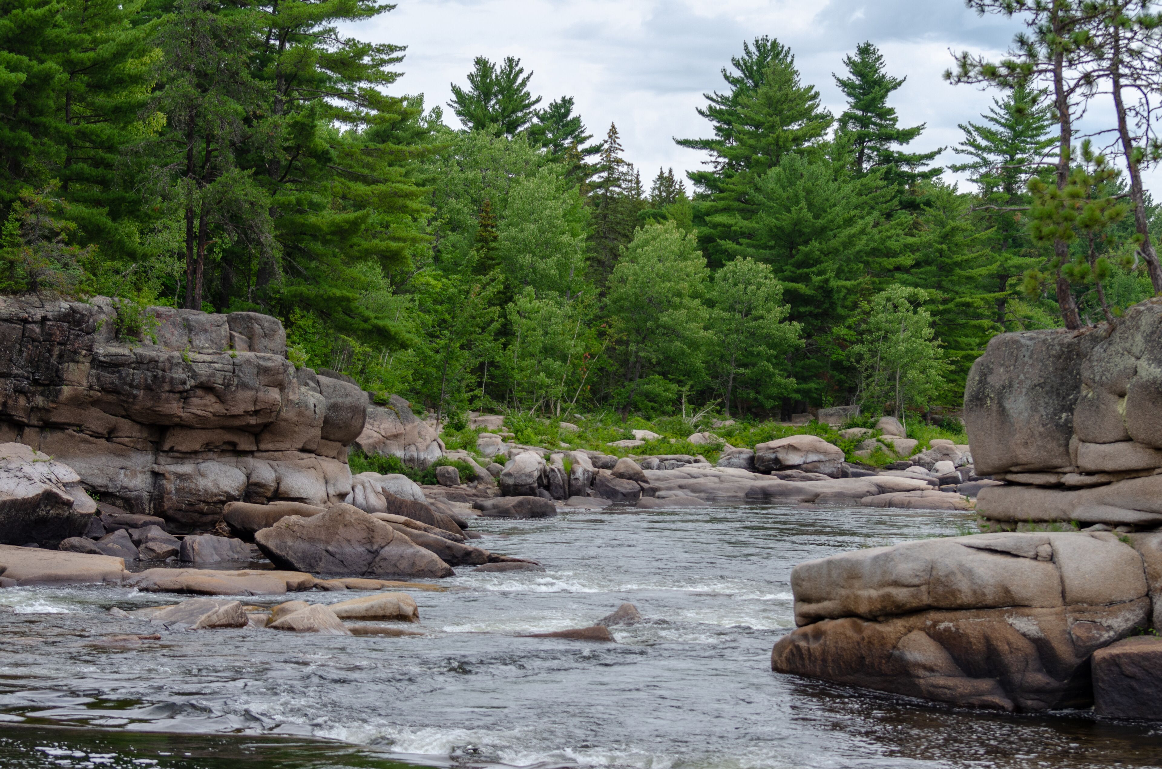 Un río que serpentea por un bosque con grandes rocas y árboles verdes y frondosos.