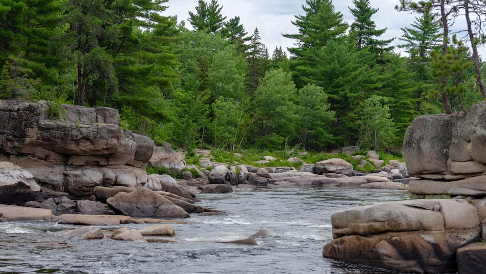 A river flowing through a forest with large rocks and dense green trees.