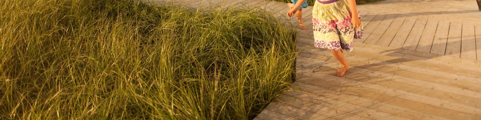 Bathurst mit einem allgemeine KĂŒstenansicht sowie Familie