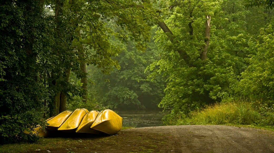 Peterborough featuring kayaking or canoeing and forests