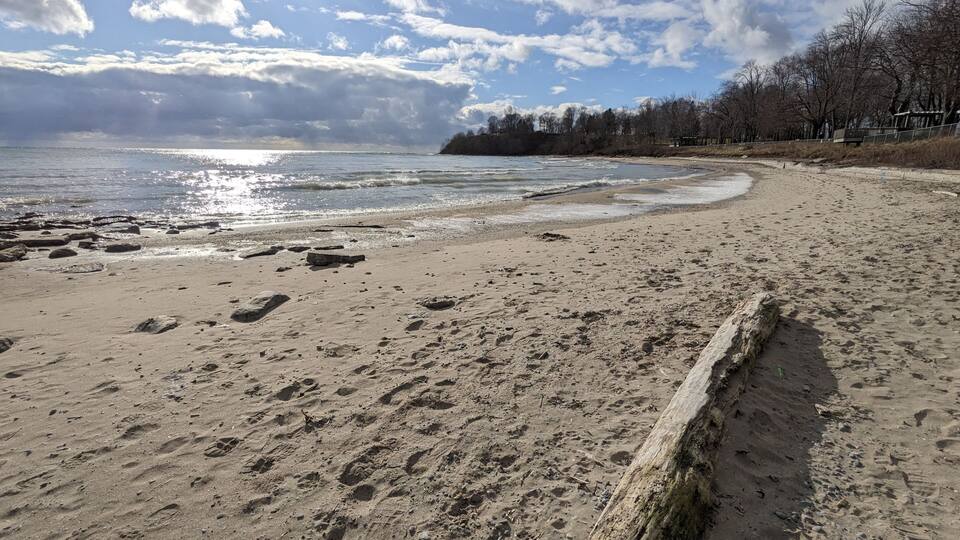 A sandy beach with footprints, a wooden fence, and a forest in the background.