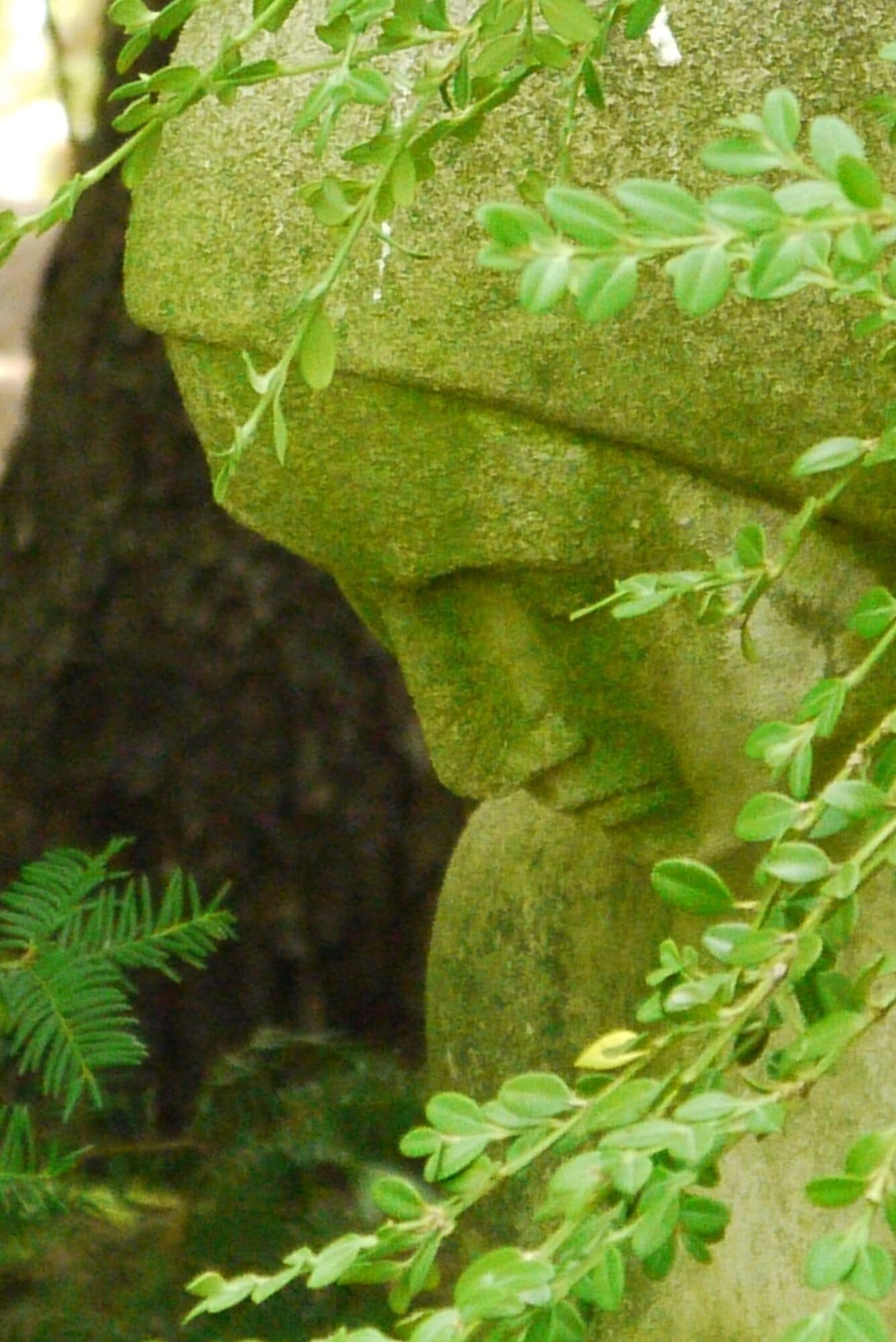 A fountain in the beautiful gardens at Parkwood Estates