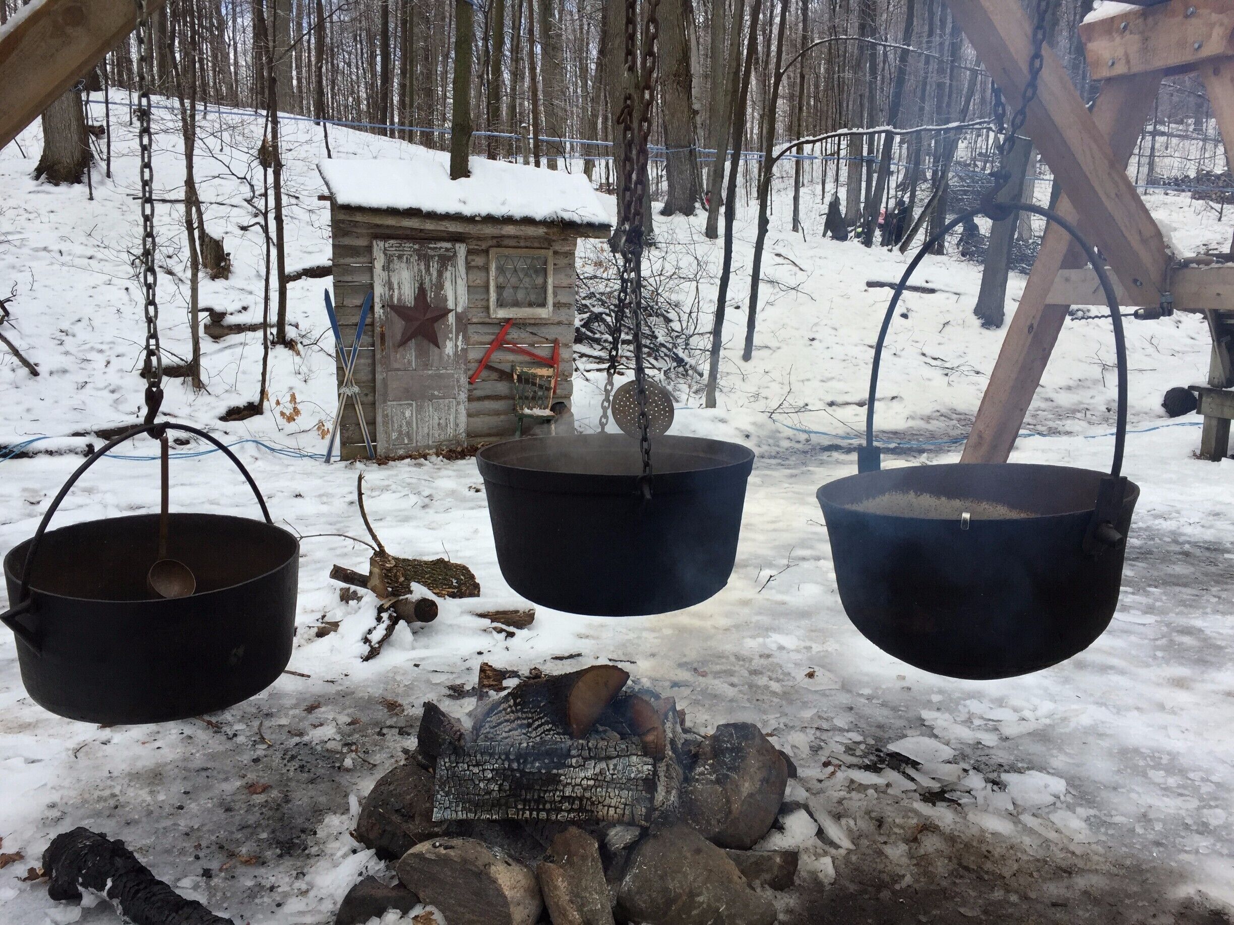 The Maple Syrup Festival in Oshawa, ON is mainly a local event. However, the festival is great with fresh pancakes and syrup, activities for kids and adults, and informative and interactive historical displays and activities. The festival typically occurs during March, and in Ontario, there's still snow then!