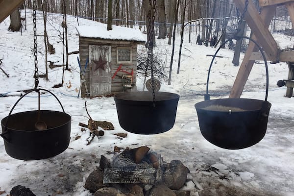 The Maple Syrup Festival in Oshawa, ON is mainly a local event. However, the festival is great with fresh pancakes and syrup, activities for kids and adults, and informative and interactive historical displays and activities. The festival typically occurs during March, and in Ontario, there's still snow then!