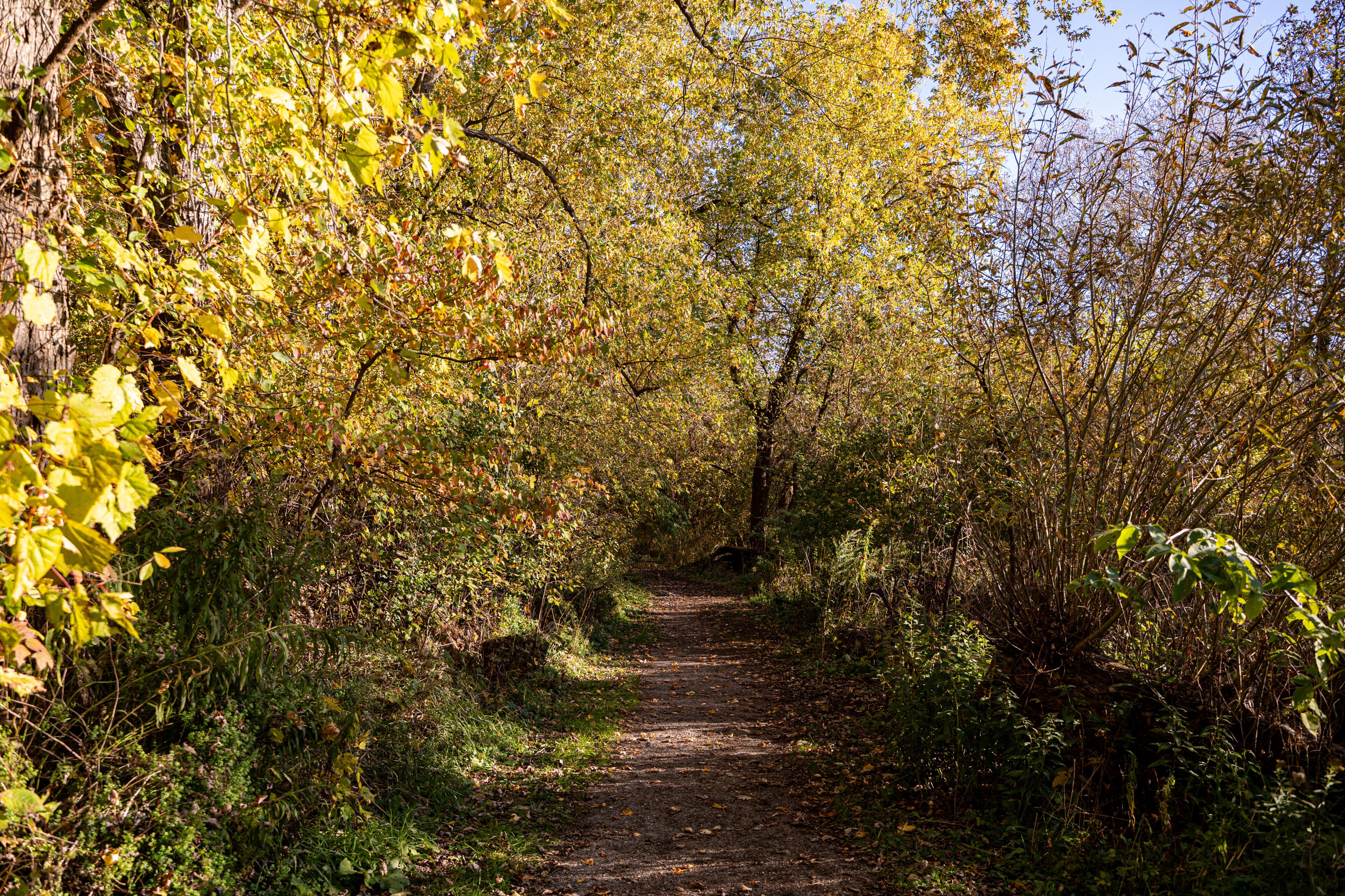View of McLaughlin Bay Wildlife Reserve in Oshawa.