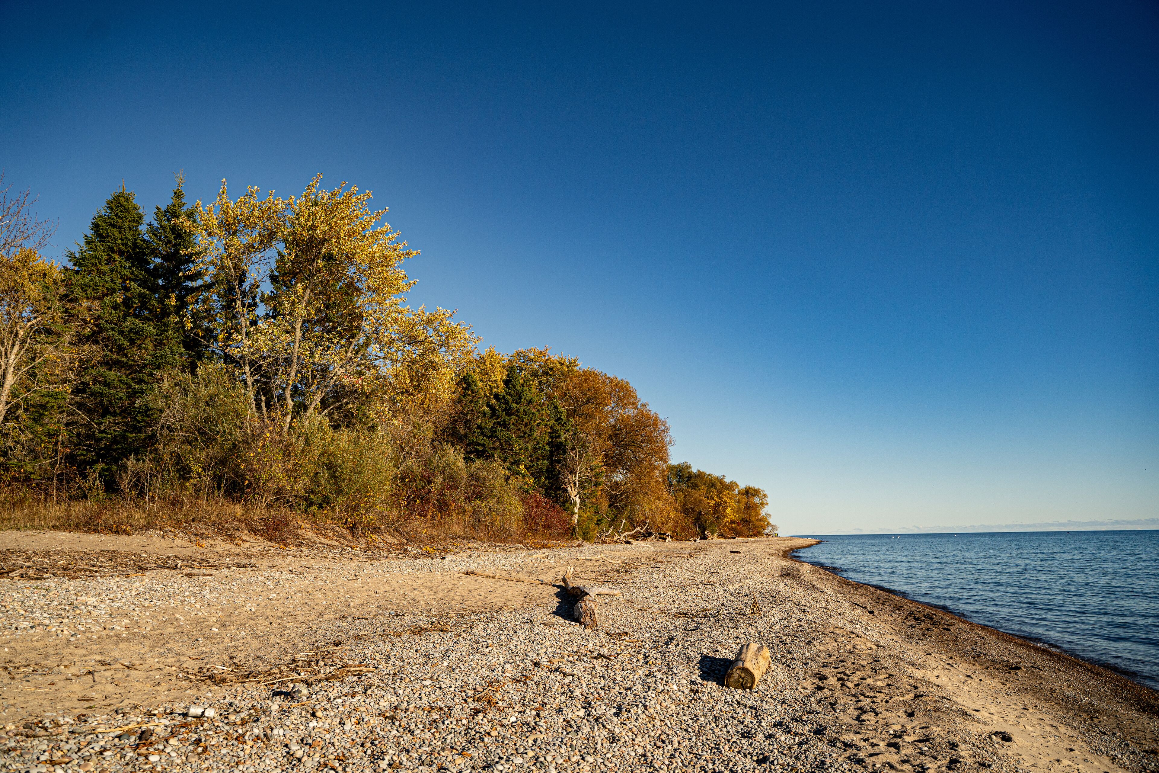 View of McLaughlin Bay Wildlife Reserve in Oshawa.