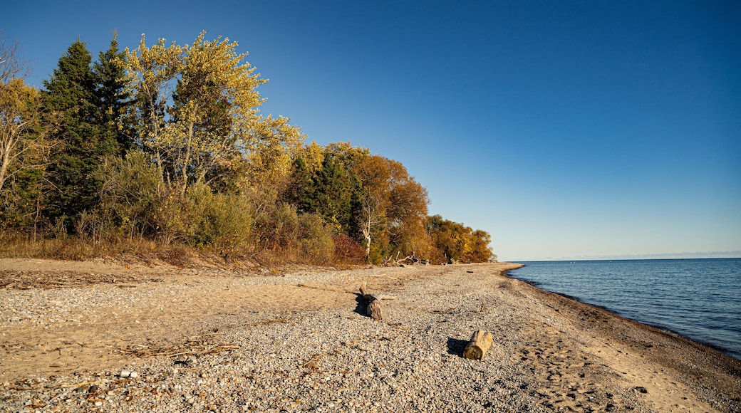 View of McLaughlin Bay Wildlife Reserve in Oshawa.