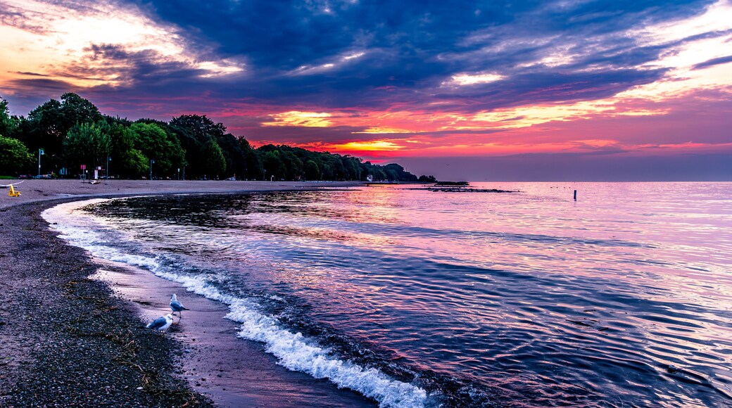 dawn over kew beach toronto with firey red orange and blue sky reflected in the water of lake ontario white foam at waters edge room for text