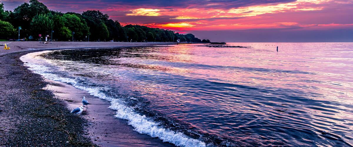 dawn over kew beach toronto with firey red orange and blue sky reflected in the water of lake ontario white foam at waters edge room for text