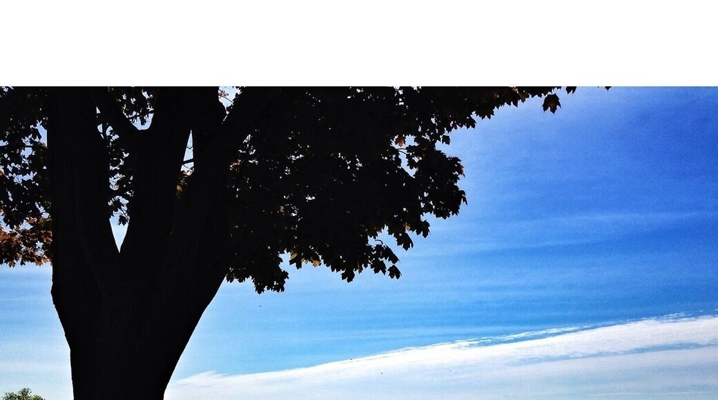 Stumbled across this park today. It's just massive with trees everywhere. There's a giant park for the kids to play and washrooms and a concession building. Picnic tables everywhere! Very clean and well groomed. Highly recommend :) also a splash pad for the kids and its right in the lake.