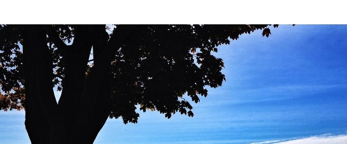 Stumbled across this park today. It's just massive with trees everywhere. There's a giant park for the kids to play and washrooms and a concession building. Picnic tables everywhere! Very clean and well groomed. Highly recommend :) also a splash pad for the kids and its right in the lake.