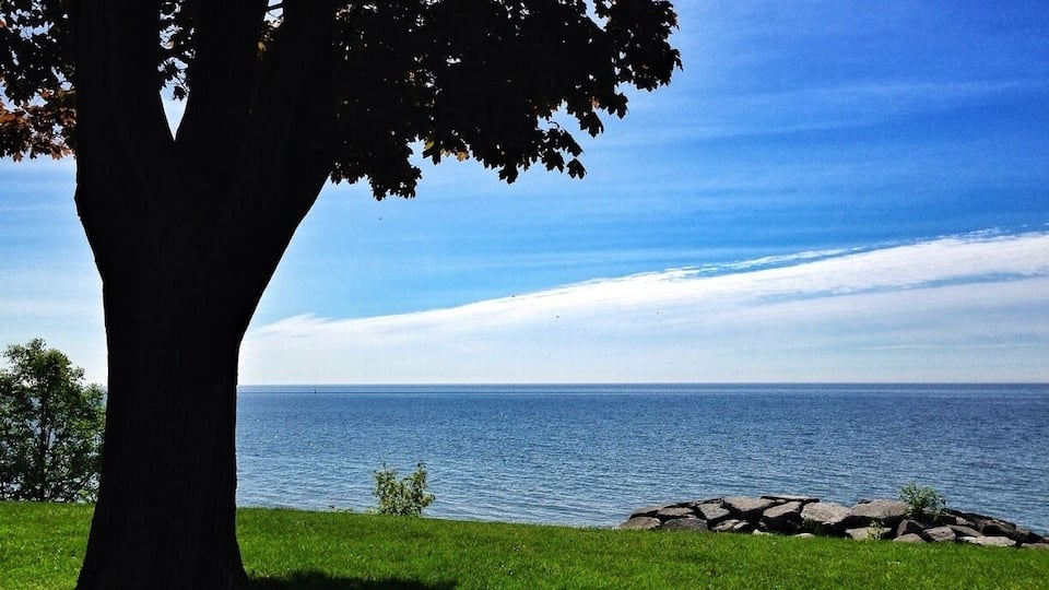 Stumbled across this park today. It's just massive with trees everywhere. There's a giant park for the kids to play and washrooms and a concession building. Picnic tables everywhere! Very clean and well groomed. Highly recommend :) also a splash pad for the kids and its right in the lake.