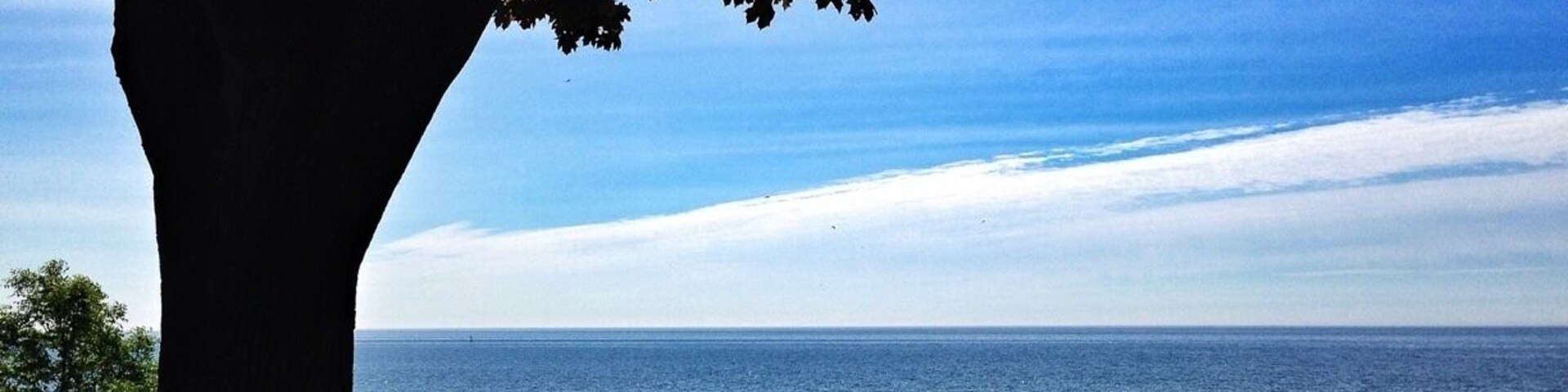 Stumbled across this park today. It's just massive with trees everywhere. There's a giant park for the kids to play and washrooms and a concession building. Picnic tables everywhere! Very clean and well groomed. Highly recommend :) also a splash pad for the kids and its right in the lake.