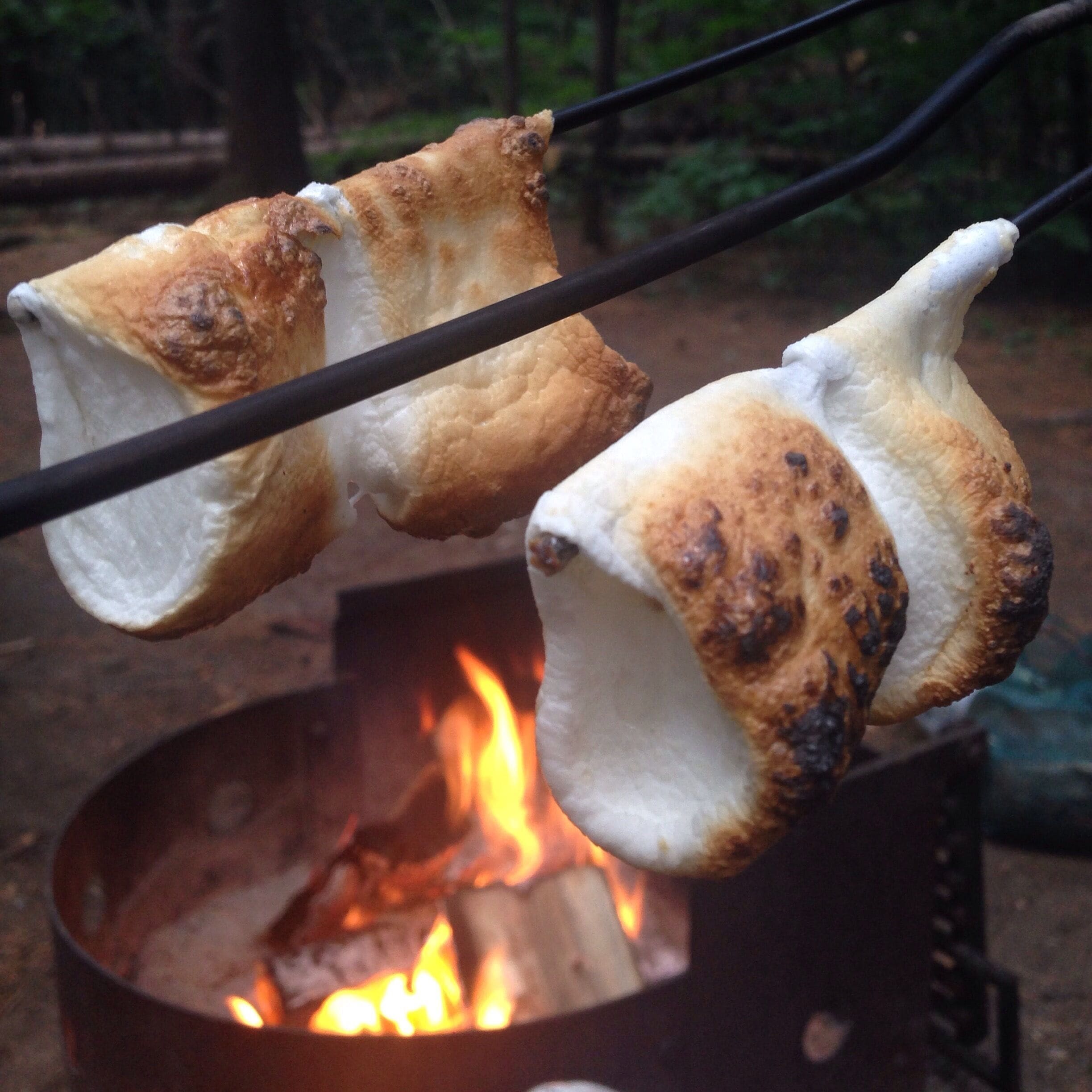 Summer happiness. Decided to drive northbound and camp for a night at one of our favourite camping spots before heading to the cottage. I've been waiting a long time for marshmallows. Yum!