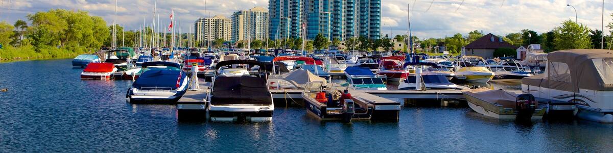 A marina with various boats docked, a clear blue sky, and tall buildings in the background.