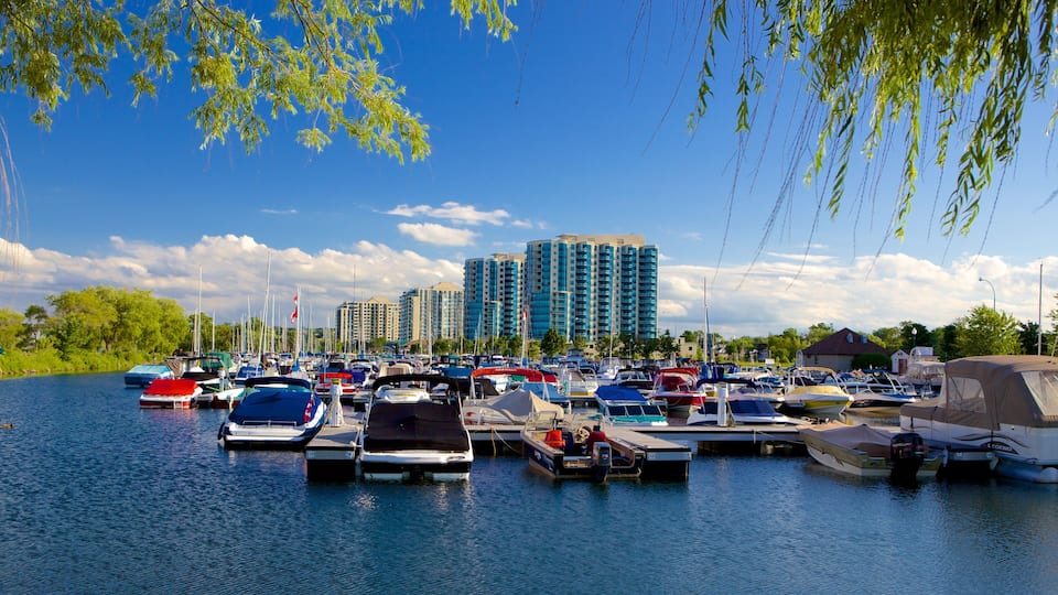 A marina with various boats docked, a clear blue sky, and tall buildings in the background.