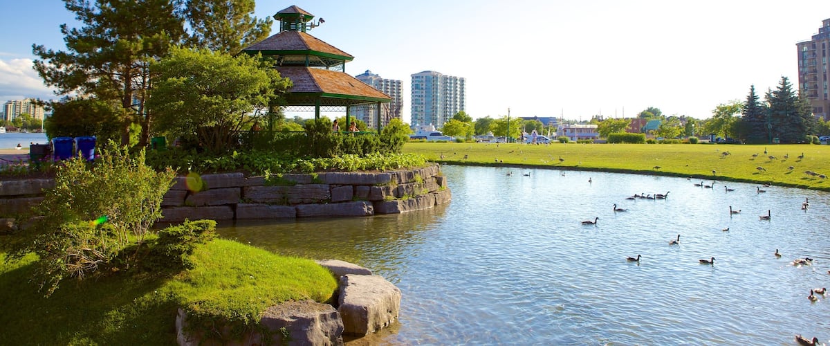 Barrie - Orillia johon kuuluu lampi
