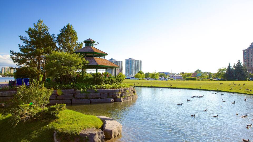 A park with a gazebo, a pond with ducks, and tall buildings in the background.