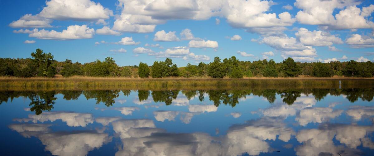Coastal South Carolina featuring wetlands and a river or creek