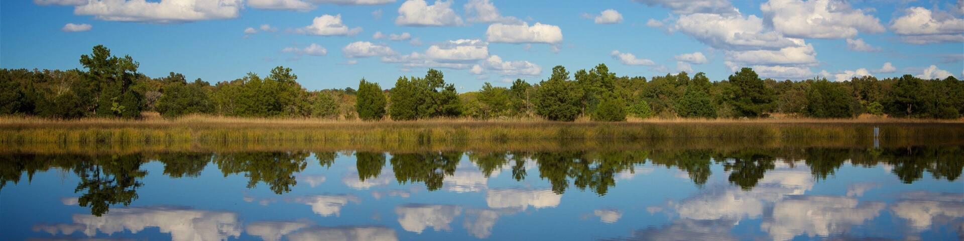 Coastal South Carolina featuring wetlands and a river or creek