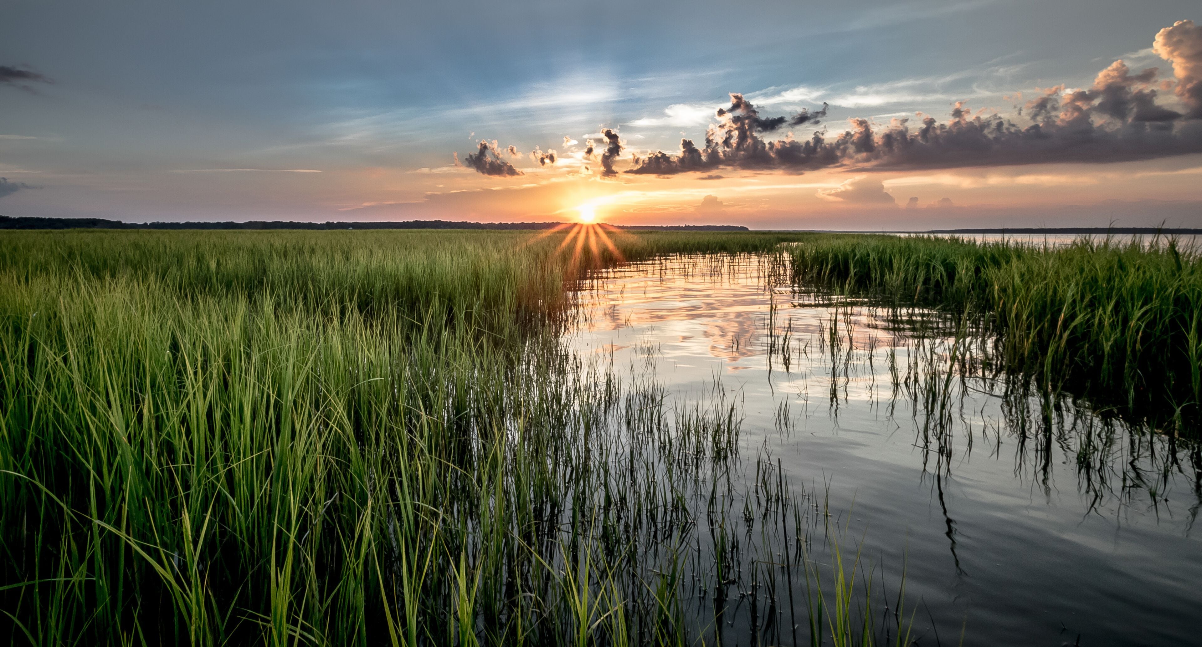 A sunset over a marshy landscape with tall grasses and calm water reflecting the sky.