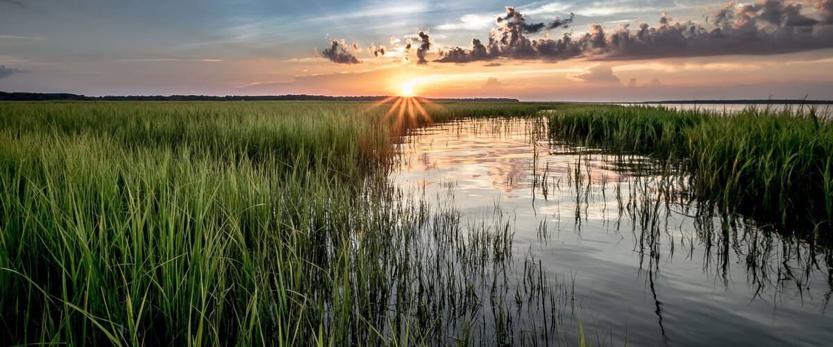 A sunset over a marshy landscape with tall grasses and calm water reflecting the sky.