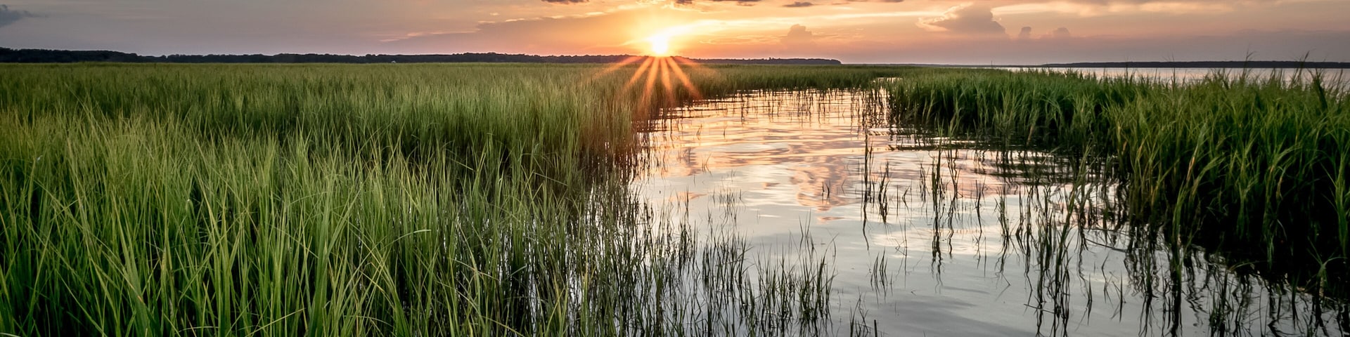 Un atardecer sobre un paisaje pantanoso con pastos altos y agua tranquila que refleja el cielo.