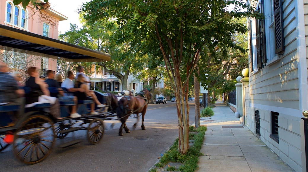 Caroline du Sud cĂŽtiĂšre montrant animaux terrestres aussi bien que petit groupe de personnes