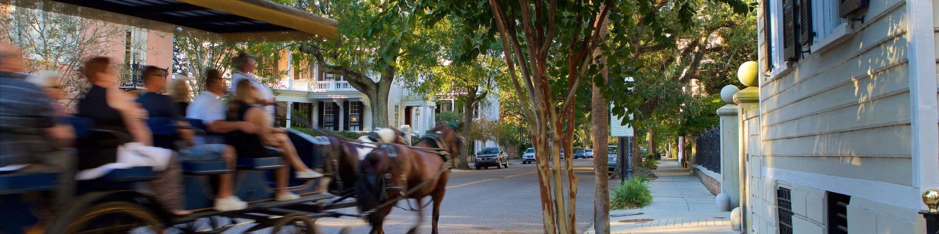 Coastal South Carolina