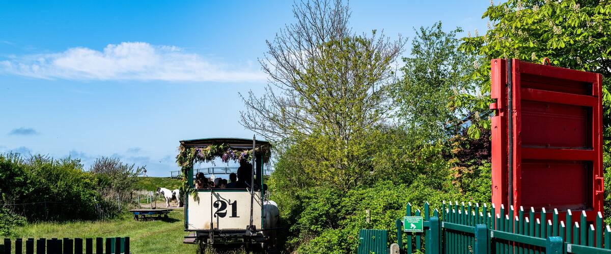 A narrow railway track with a vintage train labeled '21' approaching a green fence and a red structure.