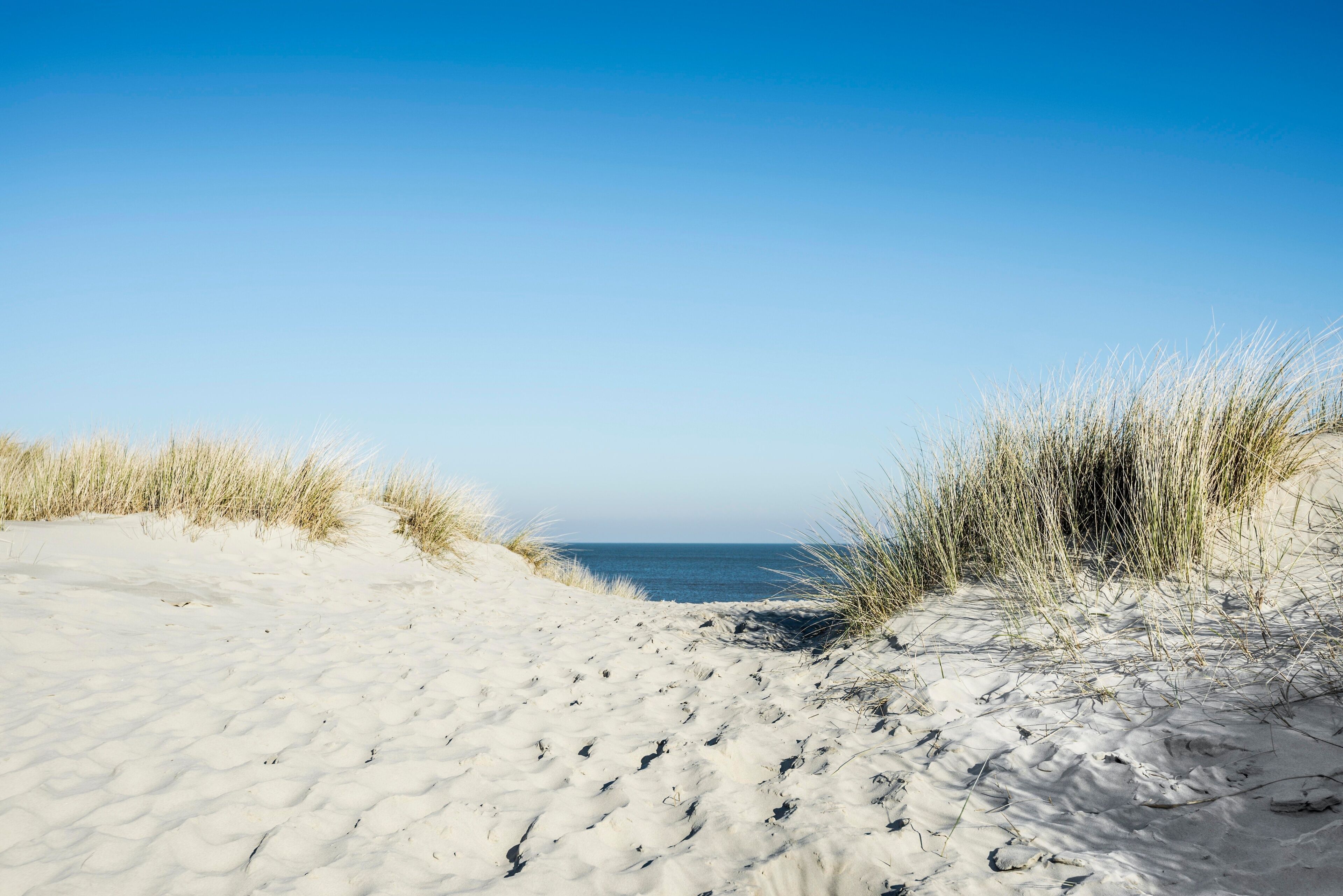 Trail to the beach through dunes, East Frisian Islands, Spiekeroog, Lower Saxony, Germany, Europe