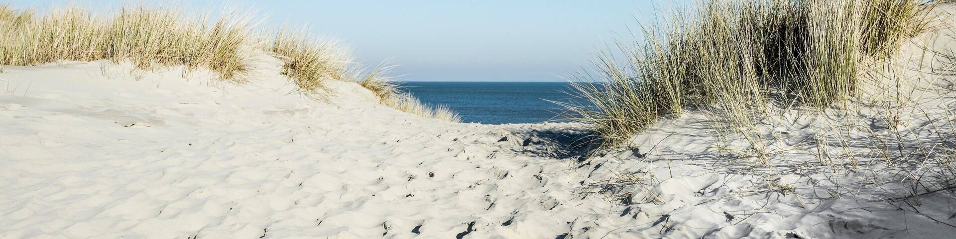 Trail to the beach through dunes, East Frisian Islands, Spiekeroog, Lower Saxony, Germany, Europe