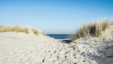 Trail to the beach through dunes, East Frisian Islands, Spiekeroog, Lower Saxony, Germany, Europe