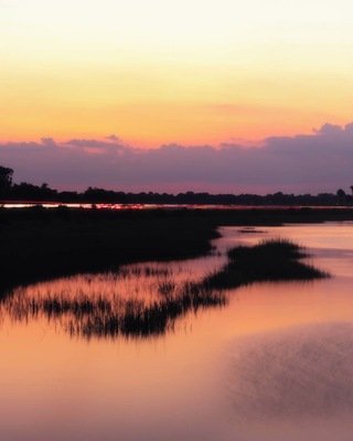 Gotta love some marsh grass at sunset.