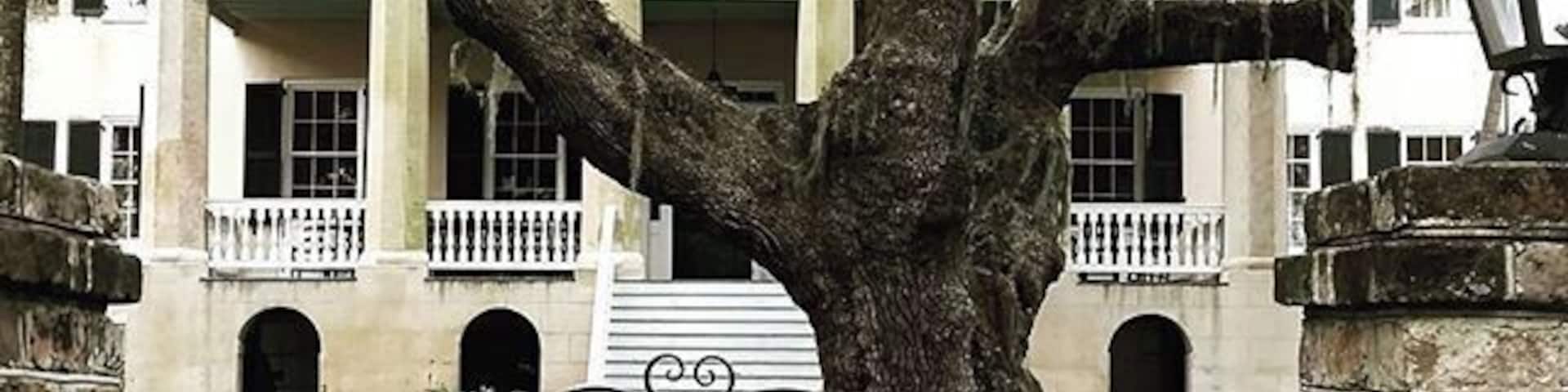 The Castle, an antebellum (pre-Civil-War) mansion in Beaufort, South Carolina, also known as the Joseph Johnson House, was built in 1860 and is now a private residence.
What a spectacular live oak it has in front!
#UStravel
#UShistory
#beaufort
#beaufortsc
#SouthCarolina
#liveoak
#antebellum
#mansion
#castle
#city
#wanderlust
www.RVLuckyOrWhat.com