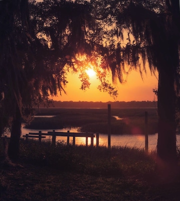 A sunset over a water body with a wooden fence and trees with Spanish moss.