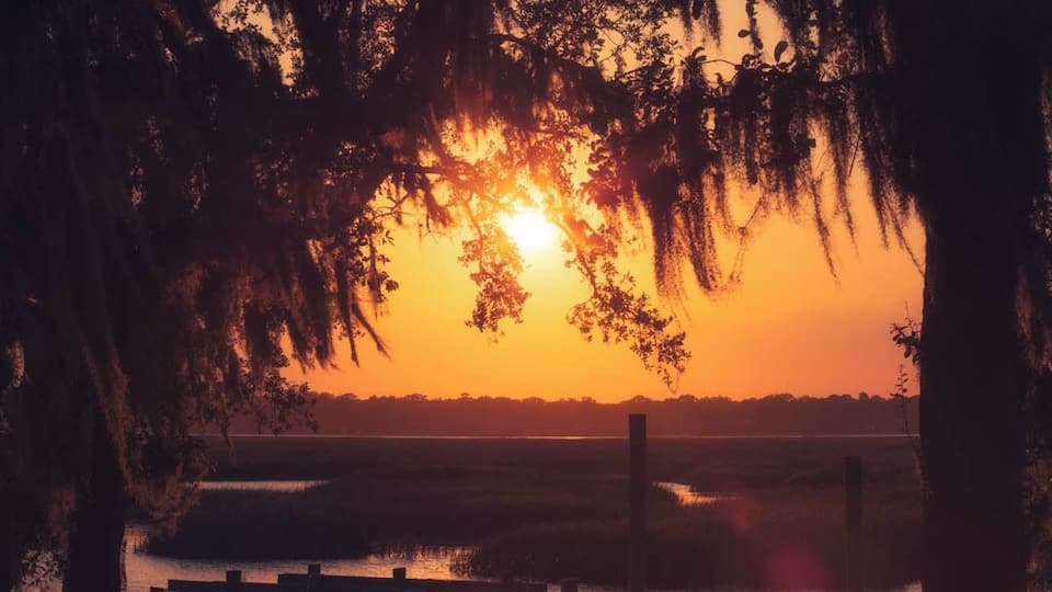 A sunset over a water body with a wooden fence and trees with Spanish moss.