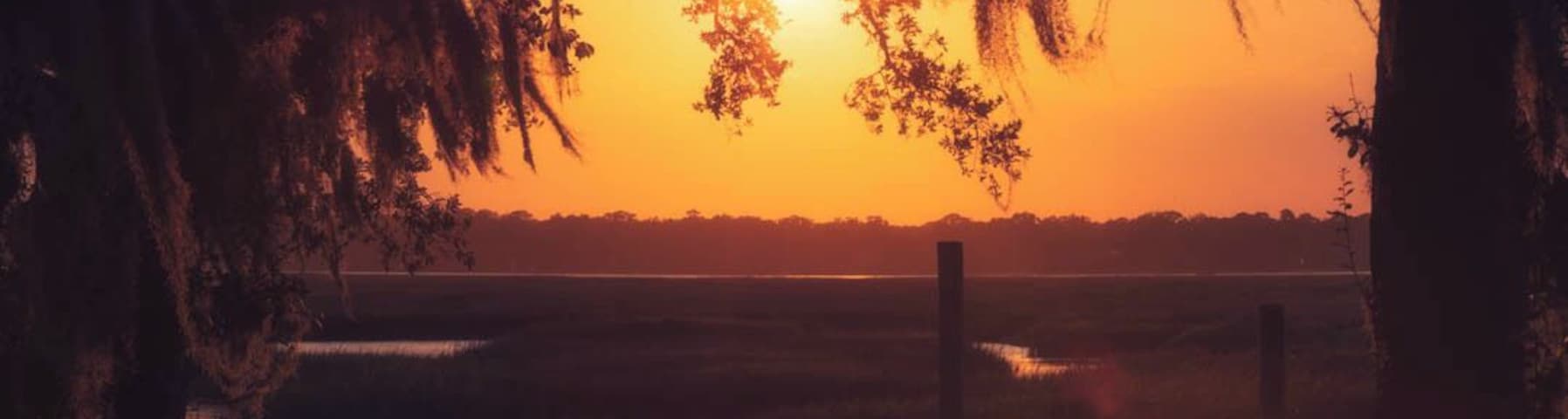A sunset over a water body with a wooden fence and trees with Spanish moss.