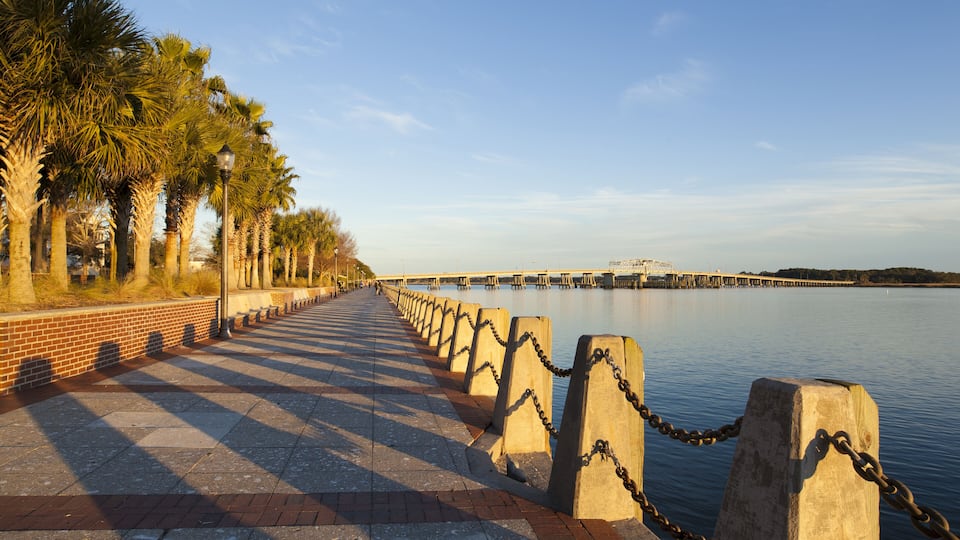 A waterfront promenade with a brick walkway, palm trees, and a chain barrier.