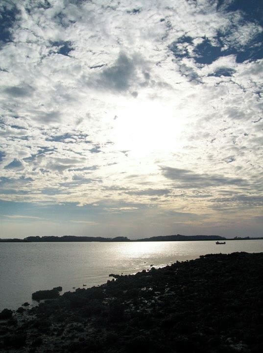 Oyster Beds at low tide at sunset.