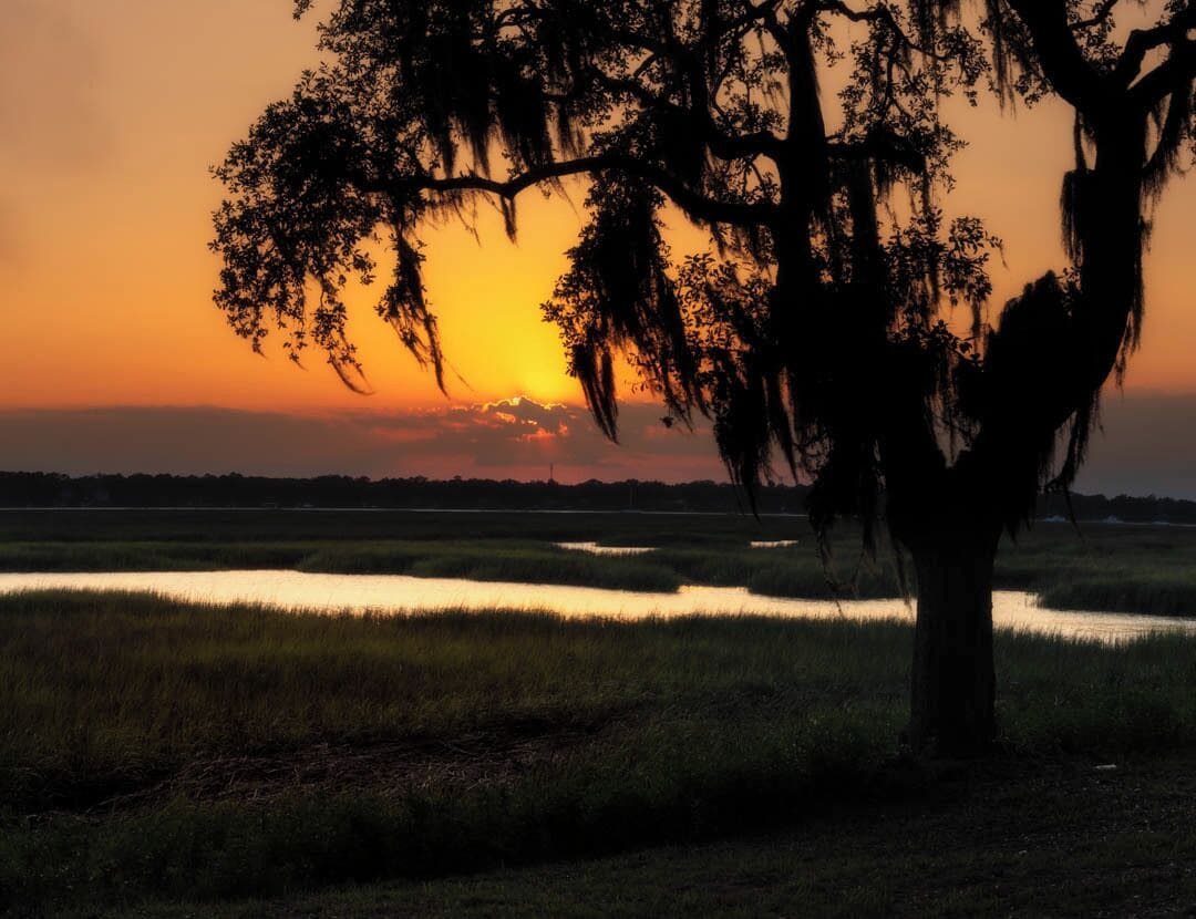 A sunset over a marshy landscape with a prominent tree silhouetted against the sky.