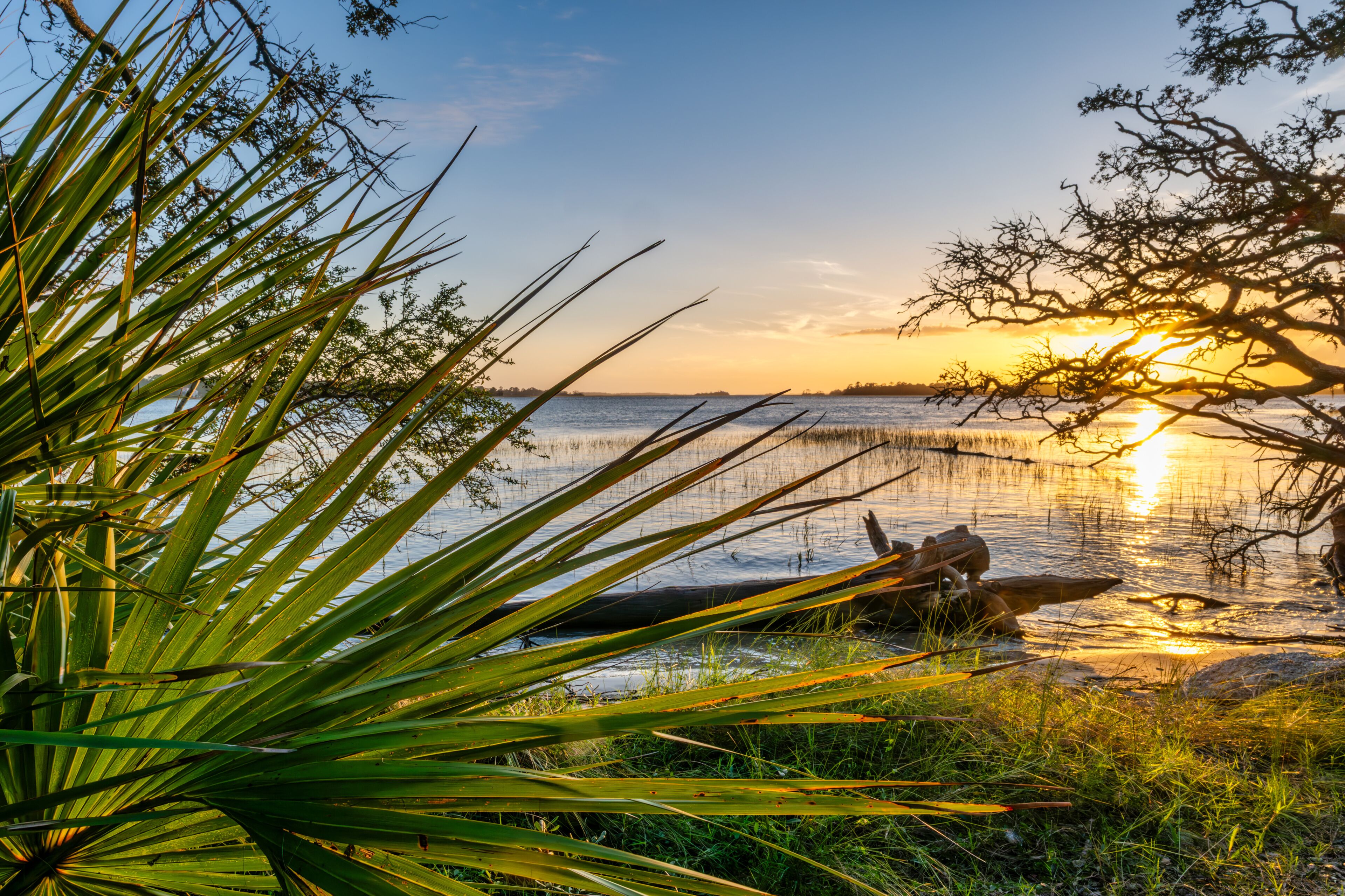 Scenic sunset view with coastal landscape and palmetto bushes