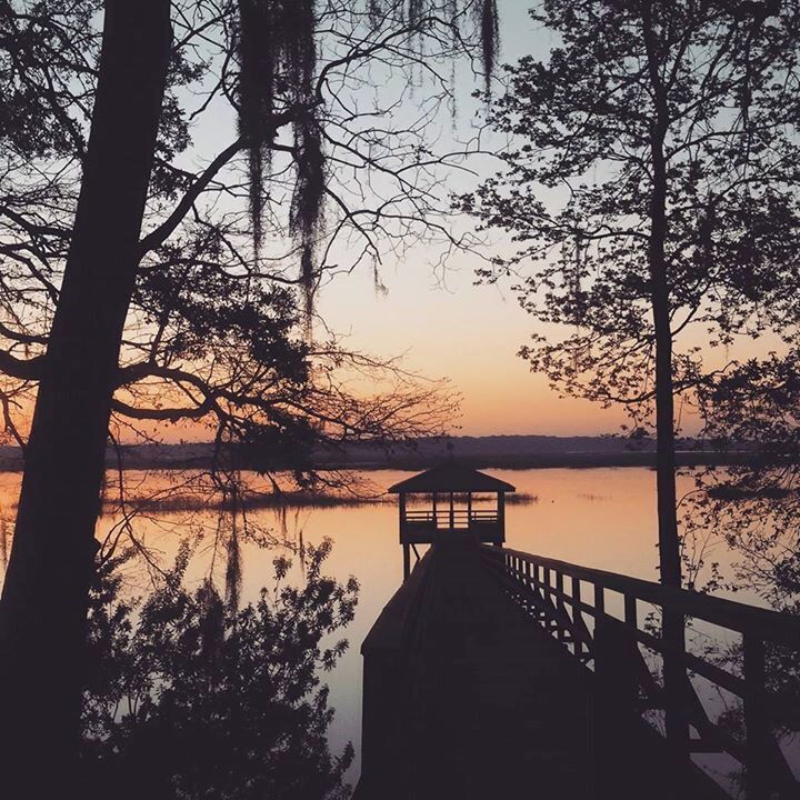 #collection of #usa #personalcollection #pictures #instagram #instagood #downsouth #southerngirl #place #beautifulspot #catch #dawn #dawnlight #memories #oldschool #recent #southcarolina #thismarch #secretgarden #pond #lagoon #beautiful #lowcountry #thebestof #travelling #travellovers #america #americangirl #italianstyle #lowcountry #LifeAtExpedia #contest <3