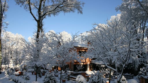 ariccia monte gentile nevicata