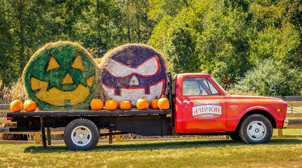 St Maarten and St Martin featuring outdoor art