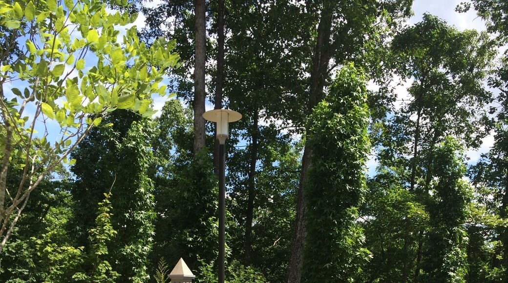 Atlanta Botanical Gardens now has a location in Gainesville, GA