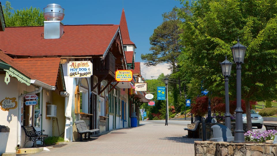 A street lined with buildings, including a restaurant named Alpine Hot Dog Grill and another called Alpen Haus.